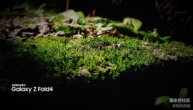 沈陽星部落體驗(yàn)三星第四代折疊屏活動回顧 沈陽星部落體驗(yàn)三星第四代折疊屏活動回顧