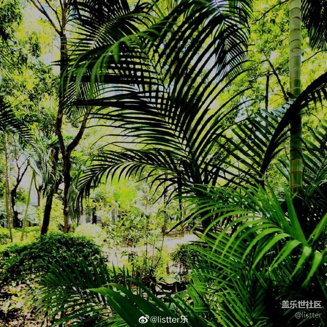 “你和大師的距離是一盞濾鏡” “你和大師的距離是一盞濾鏡”