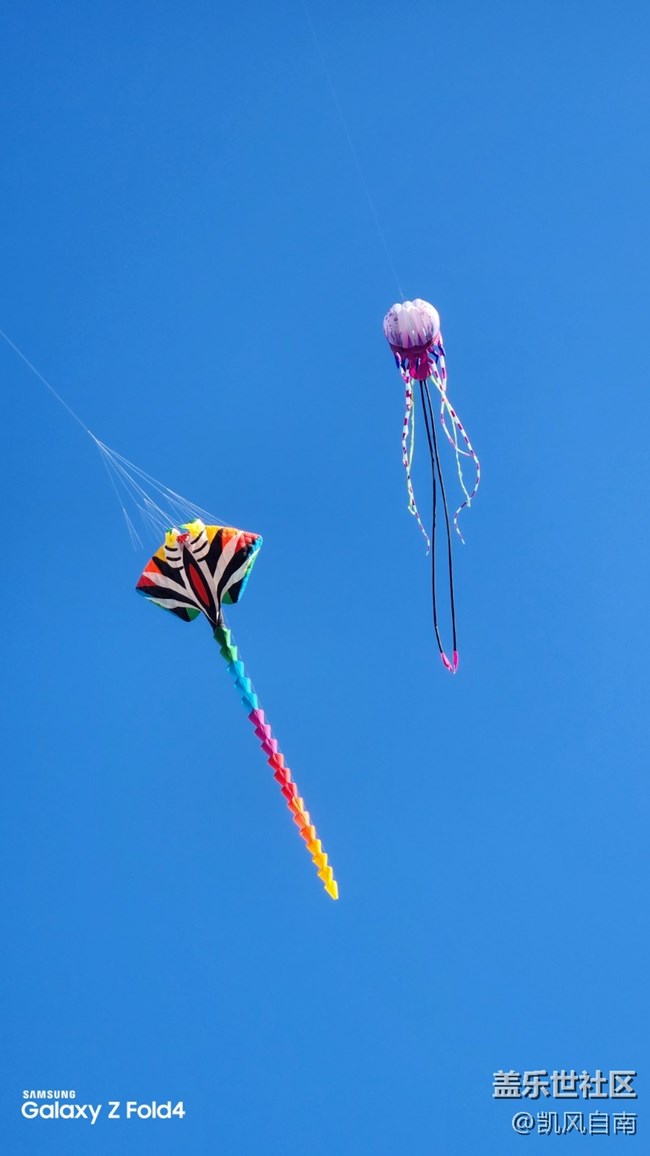 沈陽星部落體驗(yàn)三星第四代折疊屏活動回顧 沈陽星部落體驗(yàn)三星第四代折疊屏活動回顧