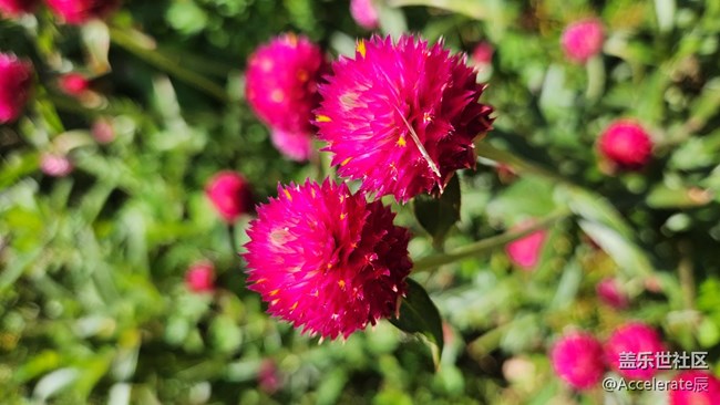風(fēng)和日麗的一天需要有頂級折疊手機(jī)相伴~