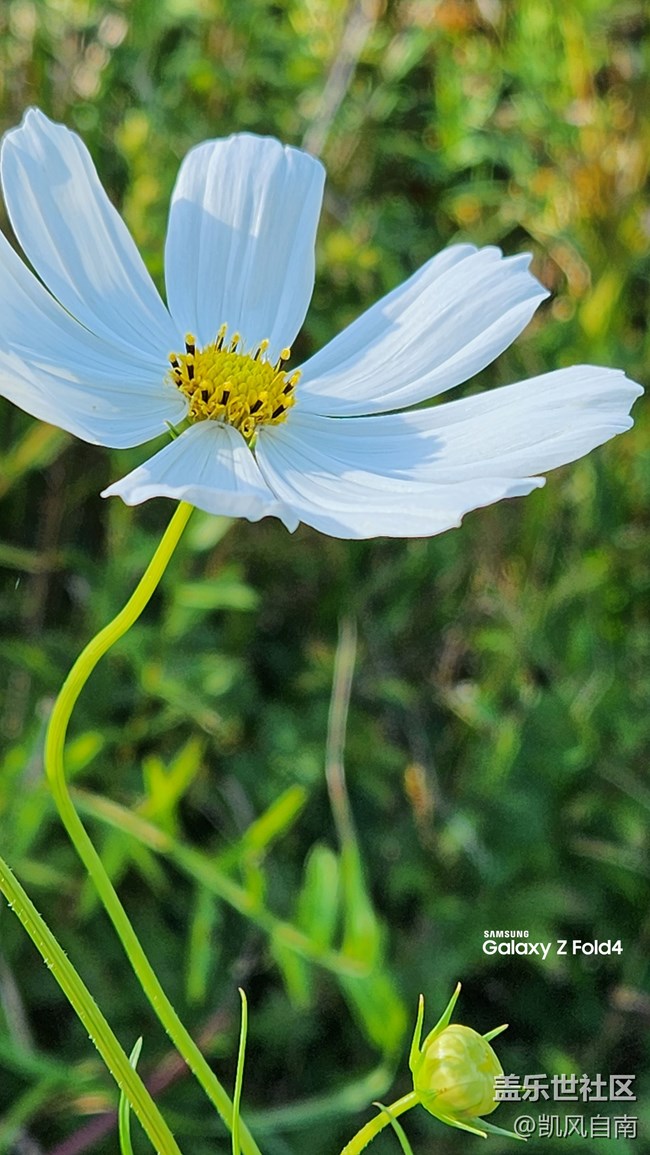 沈陽星部落體驗(yàn)三星第四代折疊屏活動回顧 沈陽星部落體驗(yàn)三星第四代折疊屏活動回顧
