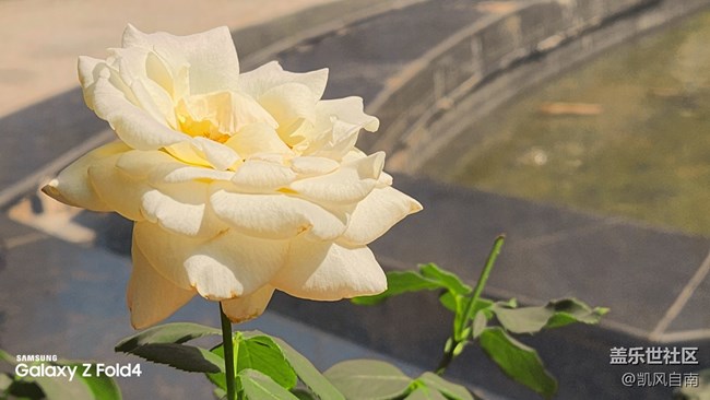 沈陽星部落體驗(yàn)三星第四代折疊屏活動回顧 沈陽星部落體驗(yàn)三星第四代折疊屏活動回顧