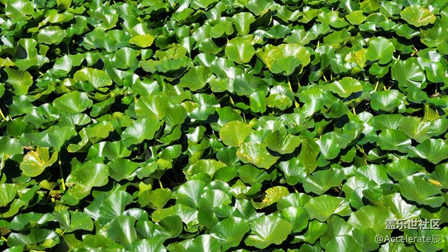 風(fēng)和日麗的一天需要有頂級折疊手機(jī)相伴~