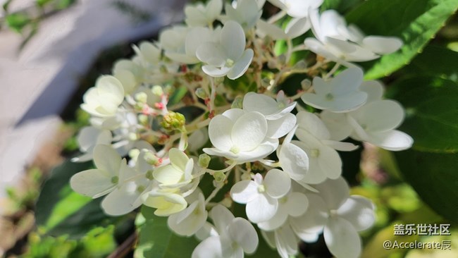 風(fēng)和日麗的一天需要有頂級折疊手機(jī)相伴~