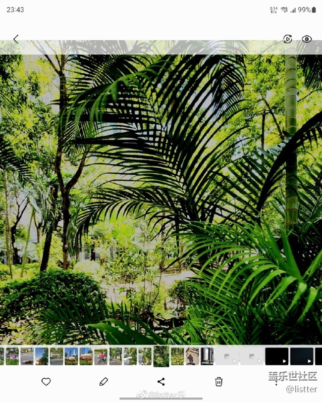 “你和大師的距離是一盞濾鏡” “你和大師的距離是一盞濾鏡”