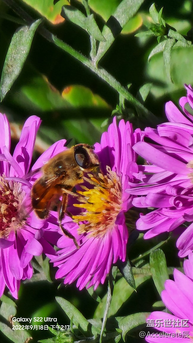 風(fēng)和日麗的一天需要有頂級折疊手機(jī)相伴~
