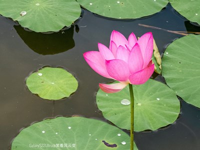 Galaxy S22Ultra  荷