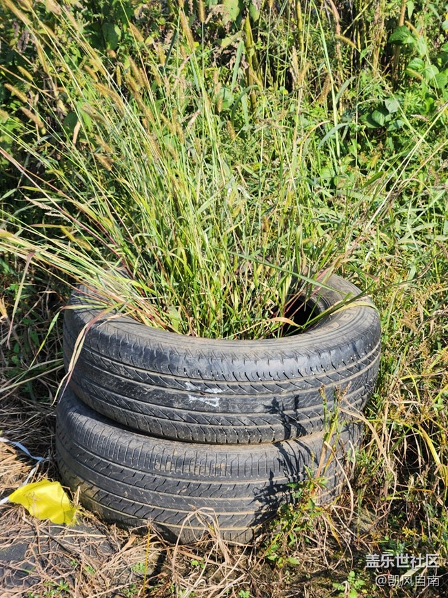 沈陽(yáng)星部落棋盤山團(tuán)建活動(dòng)回顧