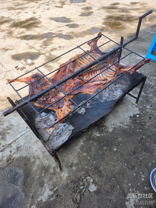 沈陽(yáng)星部落棋盤山團(tuán)建活動(dòng)回顧