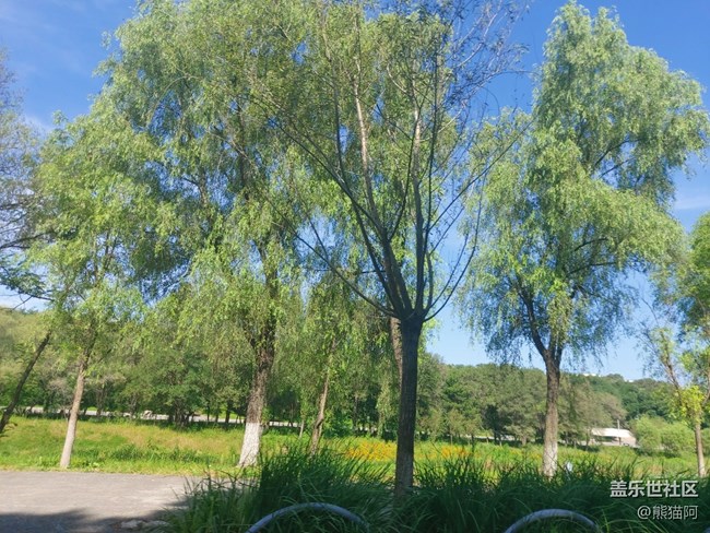 #秋已至——綠意盎然