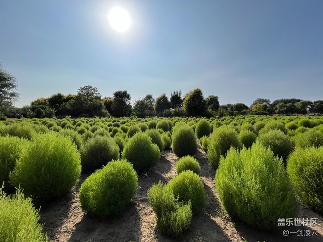 【城市魅影】高樓大廈之外的城市風(fēng)景