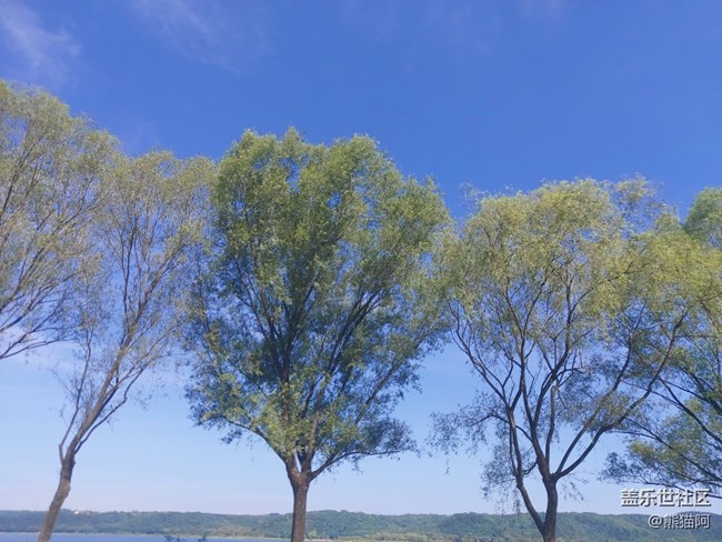 #秋已至——綠意盎然