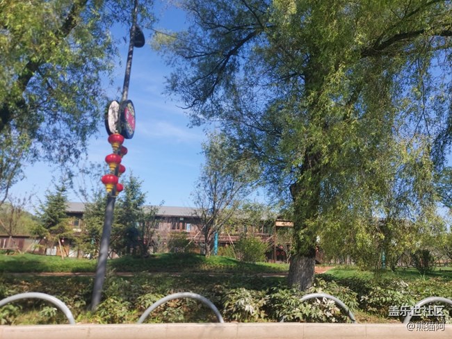 #秋已至——綠意盎然