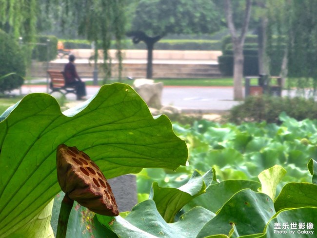 《每周星鮮事》 第120期: