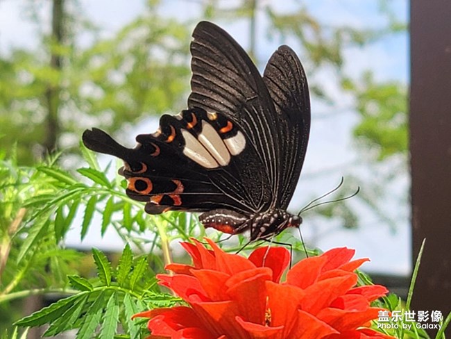 《每周星鮮事》 第120期: