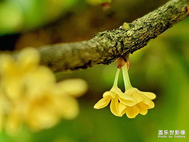 《每周星鮮事》 第120期: