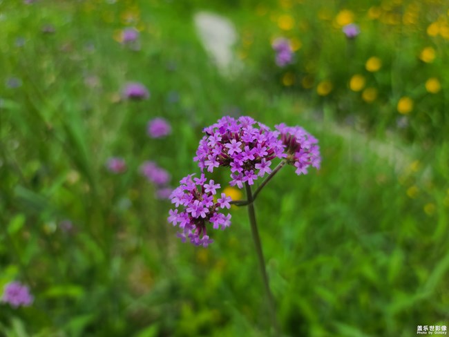 《每周星鮮事》 第120期: