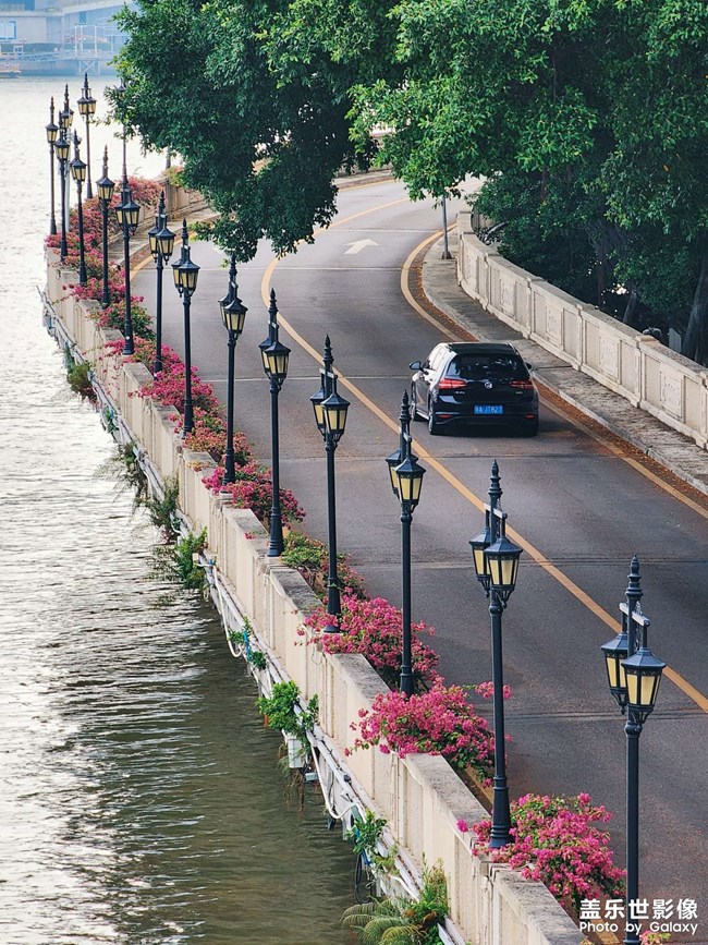 《每周星鮮事》 第120期: