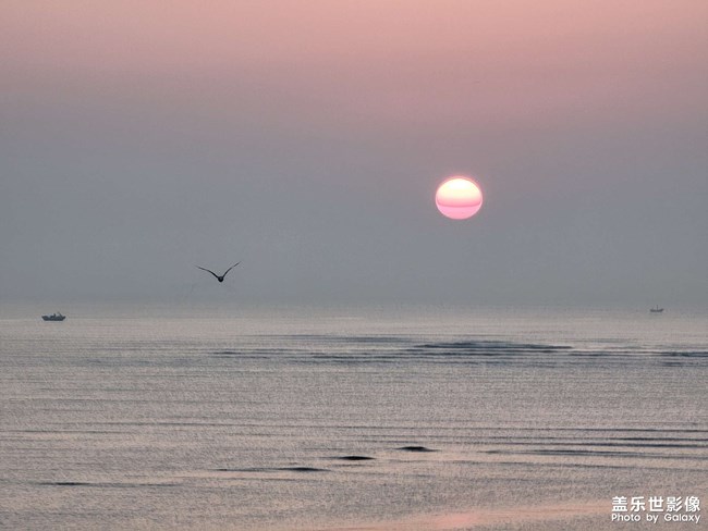 《每周星鮮事》 第120期: