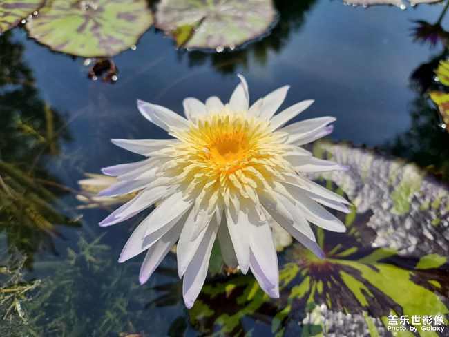 《每周星鮮事》 第120期: