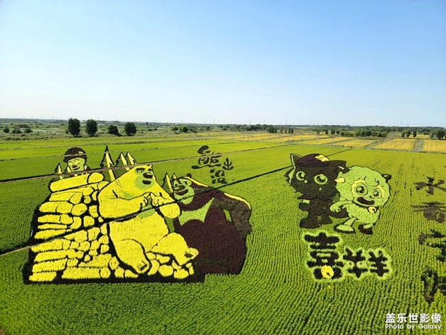 《每周星鮮事》 第120期: