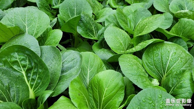 《每周星鮮事》 第120期: