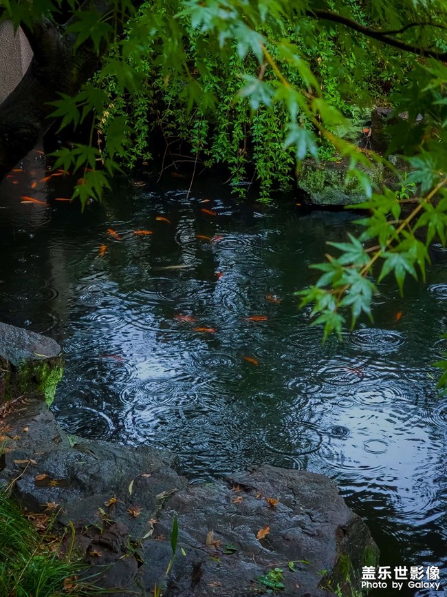 《每周星鮮事》 第120期: