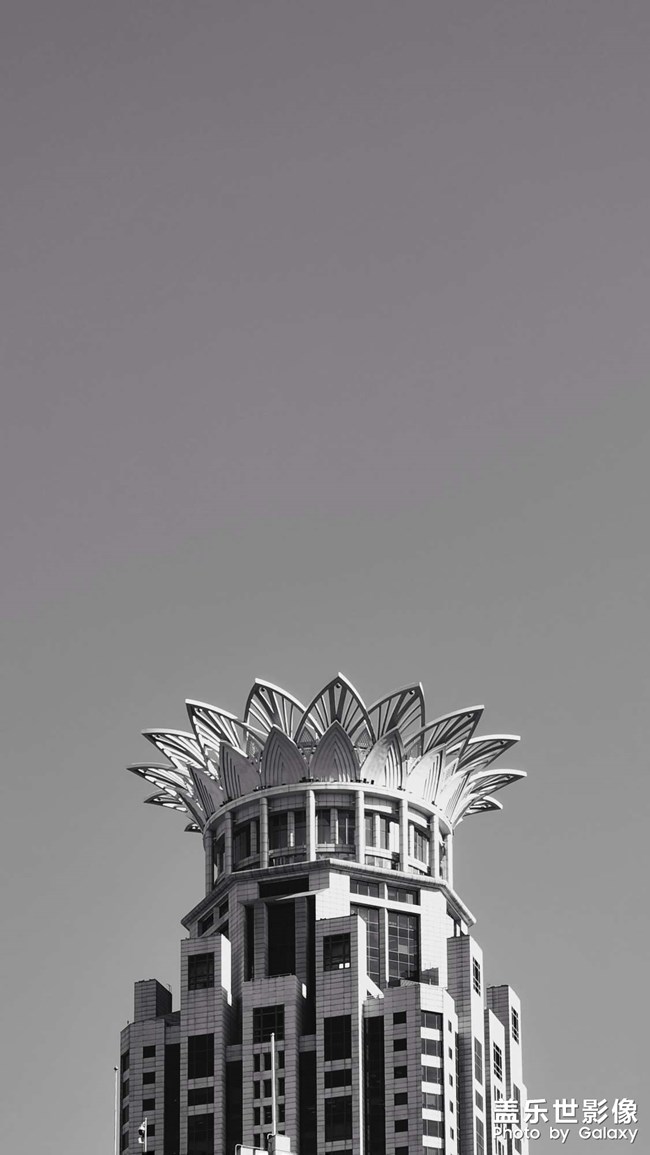 《每周星鮮事》 第120期: