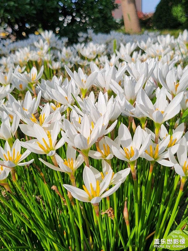 《每周星鮮事》 第120期: