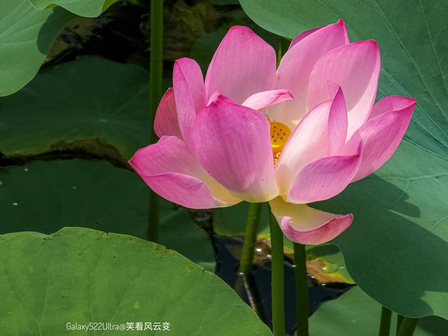 《每周星鮮事》 第120期: