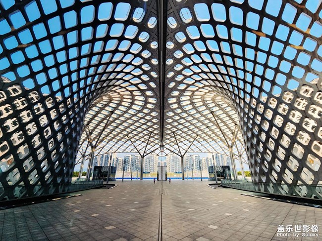 《每周星鮮事》 第120期: