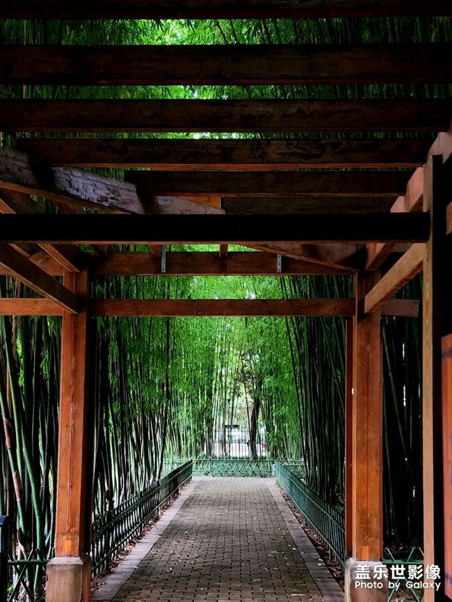 《每周星鮮事》 第120期: