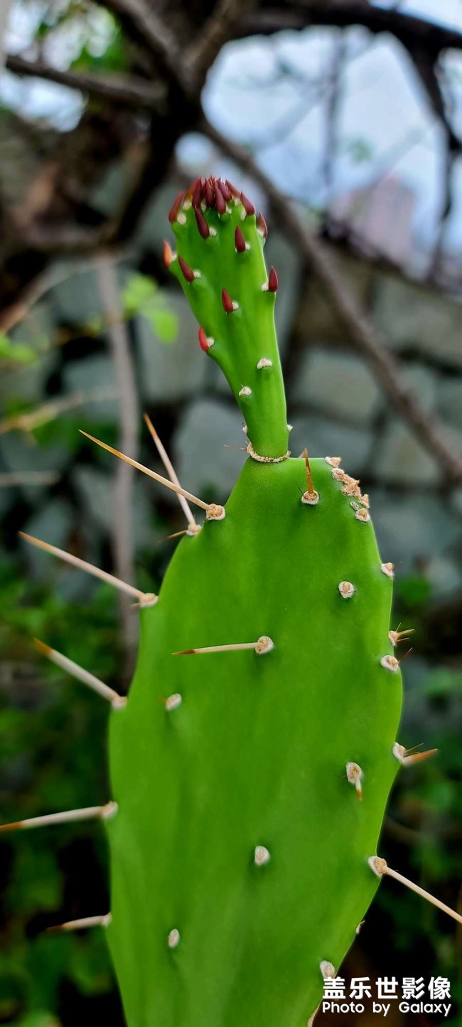 《每周星鮮事》 第120期: