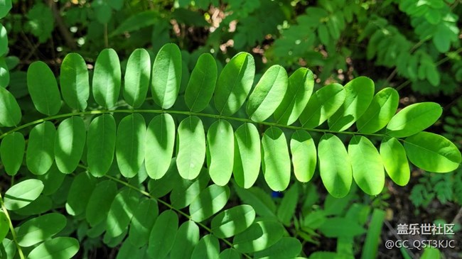 【向往】+讓生活充滿綠色