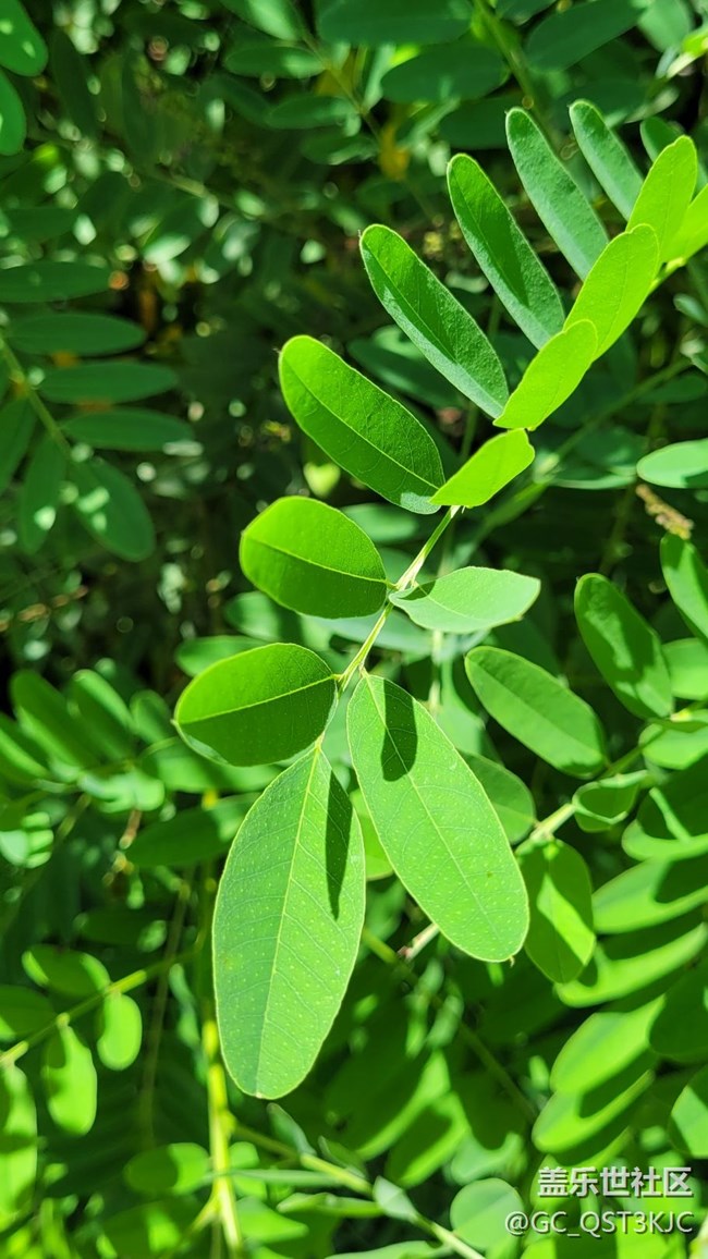 【向往】+讓生活充滿綠色