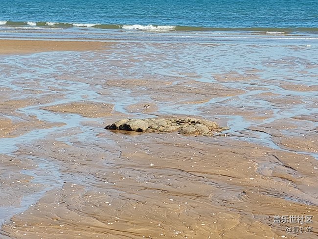 一億像素的攝像頭拍照咋樣？三星S22 Ultra來告訴你！