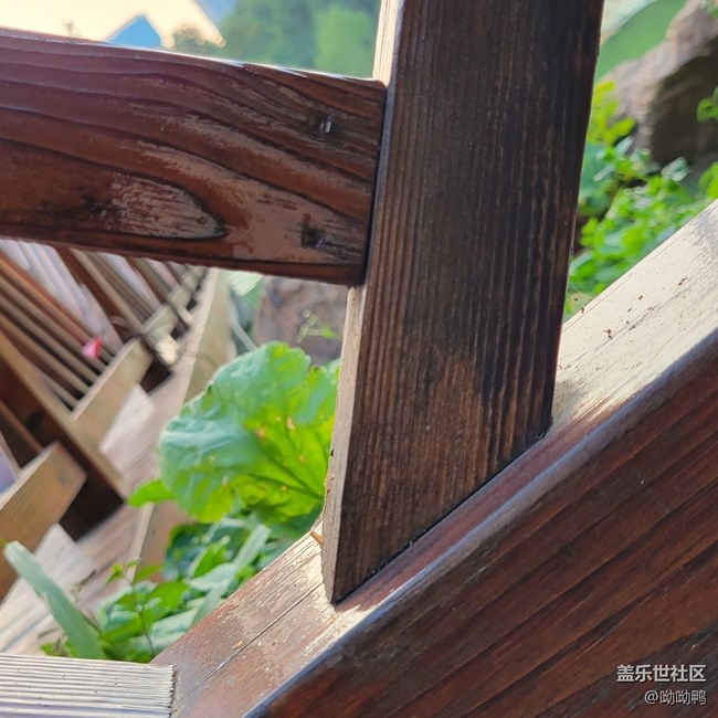 【Z元素】生活中的Z