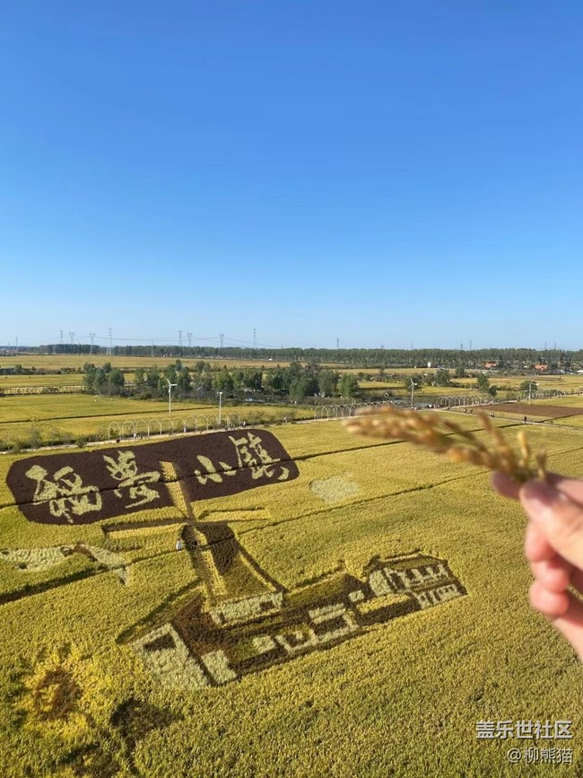 【都市映像】稻夢空間