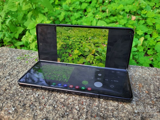 【Z元素】fold4與三葉草