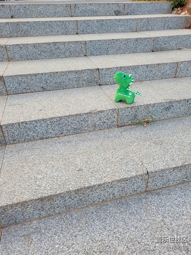 【Z元素】快閃店的綠馬