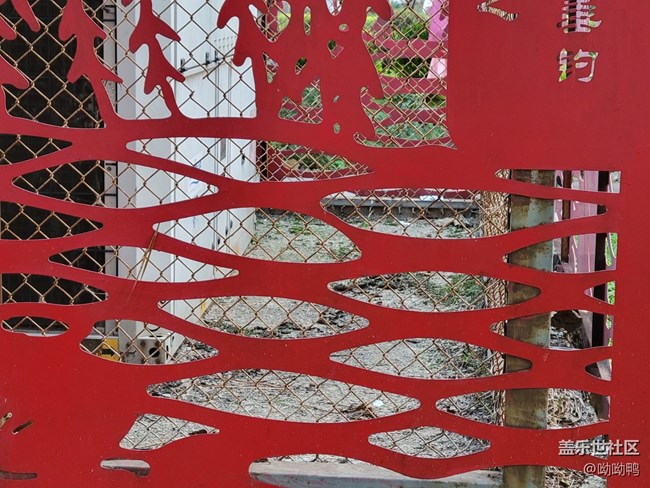 【Z元素】生活中的Z