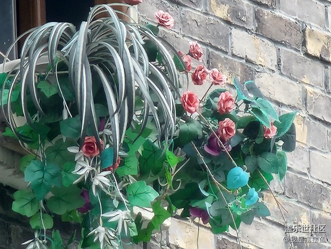 就因?yàn)?00倍變焦功能，才入手的三星S22Ultra