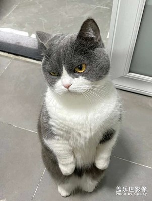 隨便看看