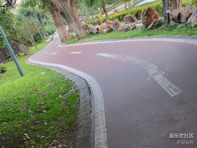 【Z元素】生活中的Z