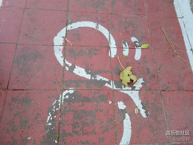 【Z元素】生活中的Z