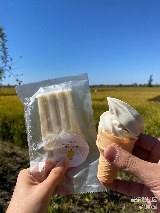 【都市映像】稻夢空間