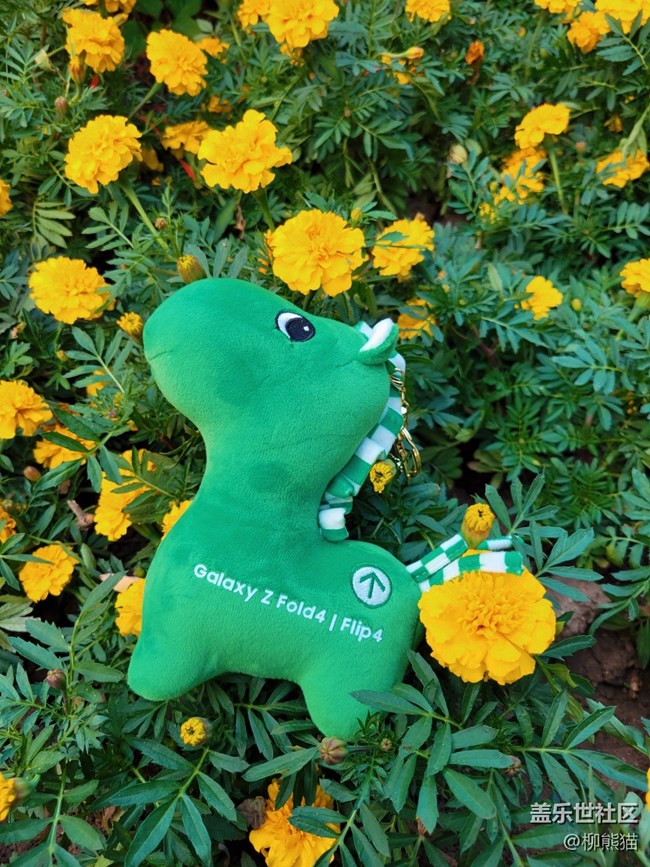 【Z元素】快閃店的綠馬