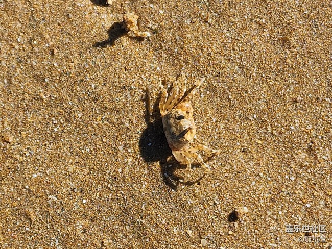 一億像素的攝像頭拍照咋樣？三星S22 Ultra來告訴你！