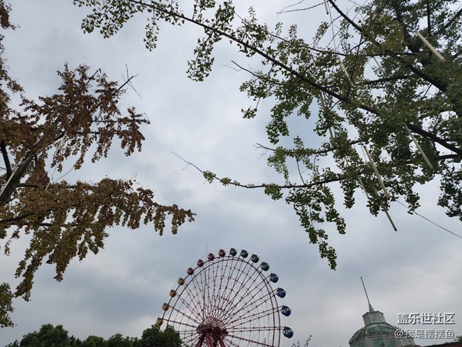 就因?yàn)?00倍變焦功能，才入手的三星S22Ultra