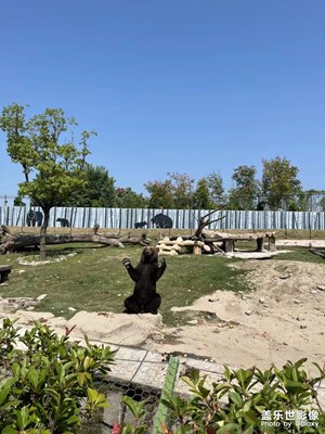 【我的小長假】+動物園之行